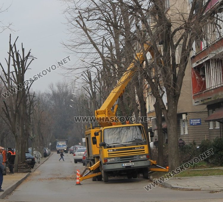 Оформят короните на дърветата по ул."Цар Симеон"