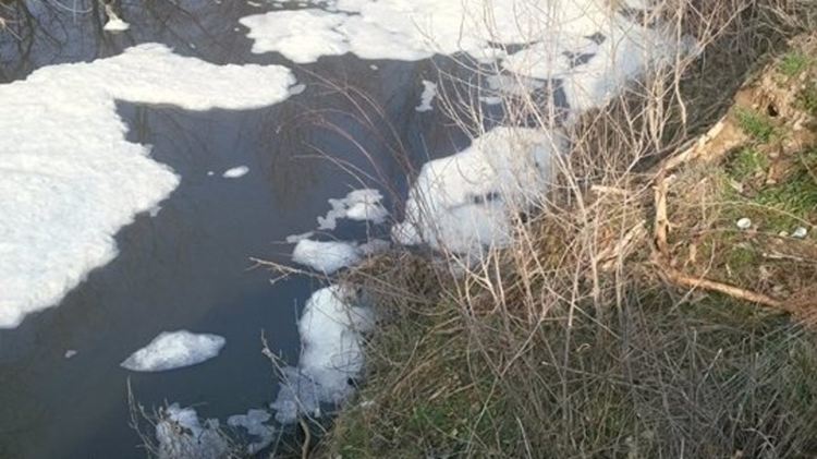 Пяна в река, приток на Арда, вдигна на крак експерти и еколози