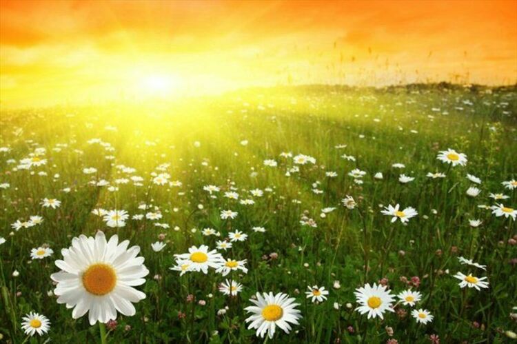 Жълт код за опасни горещини, дори в Смолян температурите ще приближат 40 градуса