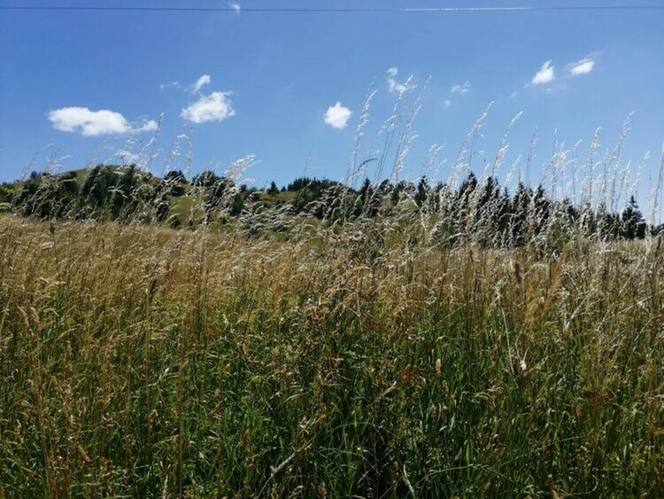 В планините ще бъде предимно слънчево, валежи се очакват след обяд