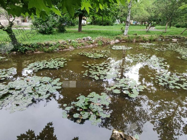 Предимно слънчево днес в Кърджали,шанс за кратък дъжд