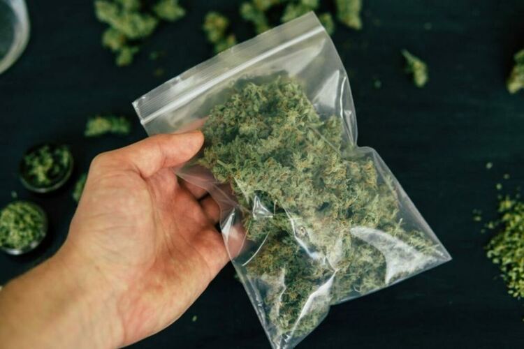 Иззеха 17 кг.  марихуана при акция в Любимец