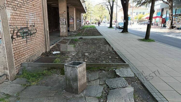 „Картофена нива“ в центъра на Кърджали чака озеленители