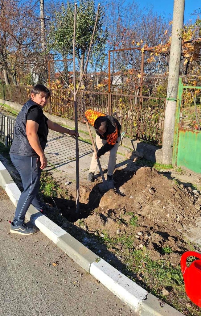 Община Асеновград отново предоставя безплатни дървета за засаждане