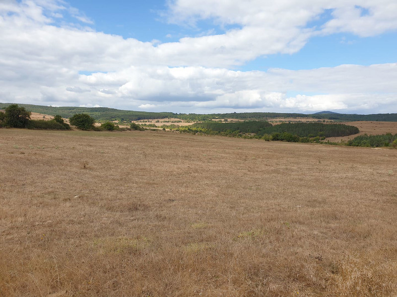 Продавам 49,391 дка земя в землището на с. Манолич