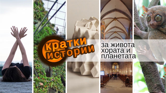 Кратки истории за живота, хората и планетата – Електро соларни истории
